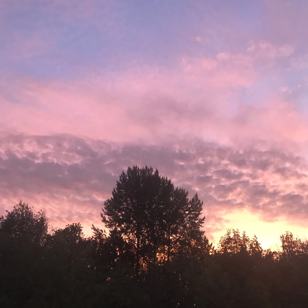 Meet your Posher, Rozlynn